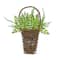 20" Spring Astilbe & Fern Wall Basket